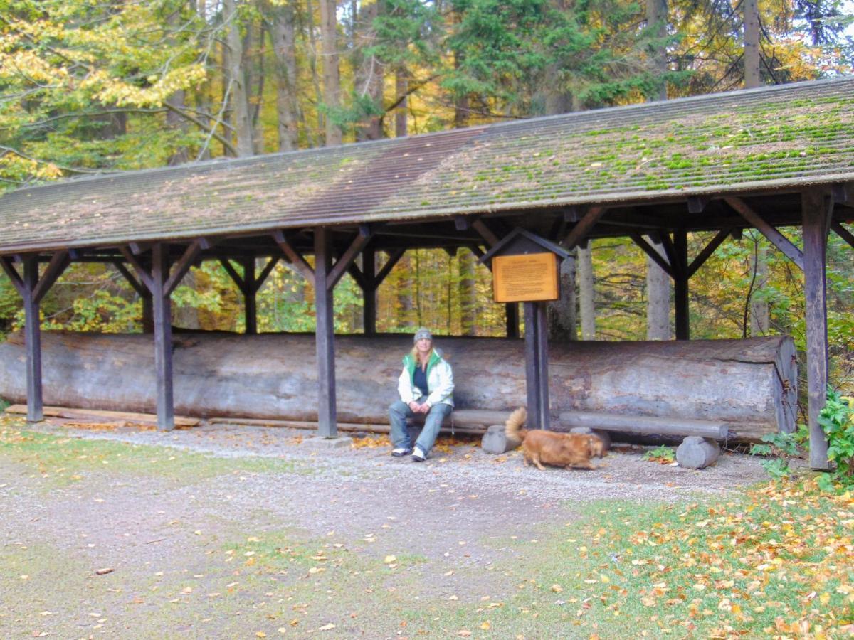 Retro Kemp Pod Boubinem Horní Vltavice Buitenkant foto